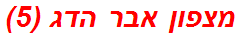 מצפון אבר הדג (5)