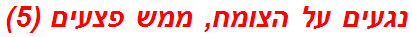 נגעים על הצומח, ממש פצעים (5)