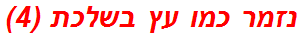 נזמר כמו עץ בשלכת (4)
