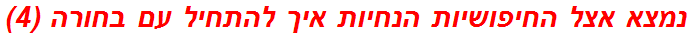 נמצא אצל החיפושיות הנחיות איך להתחיל עם בחורה (4)