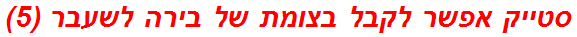 סטייק אפשר לקבל בצומת של בירה לשעבר (5)