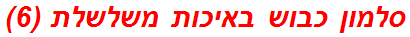 סלמון כבוש באיכות משלשלת (6)