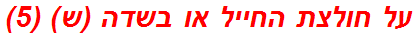 על חולצת החייל או בשדה (ש) (5)