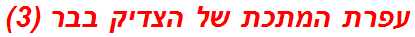 עפרת המתכת של הצדיק בבר (3)