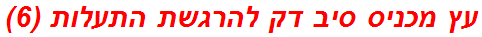 עץ מכניס סיב דק להרגשת התעלות (6)