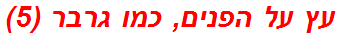 עץ על הפנים, כמו גרבר (5)