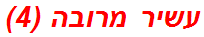 עשיר מרובה (4)