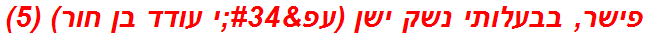 פישר, בבעלותי נשק ישן (עפ"י עודד בן חור) (5)