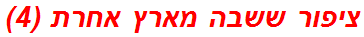ציפור ששבה מארץ אחרת (4)
