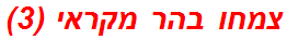 צמחו בהר מקראי (3)