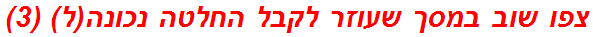 צפו שוב במסך שעוזר לקבל החלטה נכונה(ל) (3)