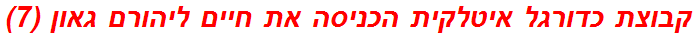 קבוצת כדורגל איטלקית הכניסה את חיים ליהורם גאון (7)