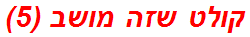 קולט שזה מושב (5)