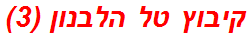 קיבוץ טל הלבנון (3)