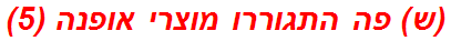 (ש) פה התגוררו מוצרי אופנה (5)