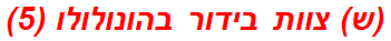 (ש) צוות בידור בהונולולו (5)
