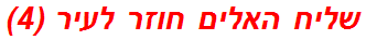 שליח האלים חוזר לעיר (4)