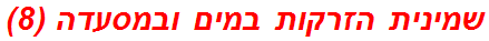 שמינית הזרקות במים ובמסעדה (8)