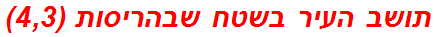 תושב העיר בשטח שבהריסות (4,3)