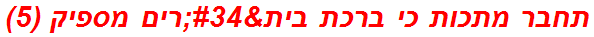 תחבר מתכות כי ברכת בית"רים מספיק (5)