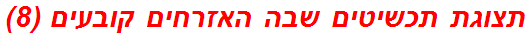 תצוגת תכשיטים שבה האזרחים קובעים (8)