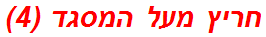 חריץ מעל המסגד (4)