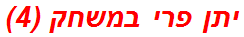 יתן פרי במשחק (4)