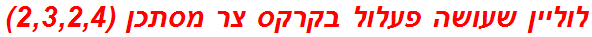 לוליין שעושה פעלול בקרקס צר מסתכן (2,3,2,4)