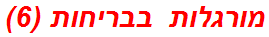 מורגלות בבריחות (6)