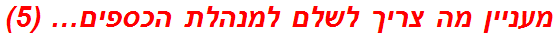 מעניין מה צריך לשלם למנהלת הכספים… (5)