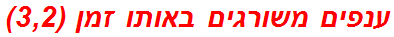 ענפים משורגים באותו זמן (3,2)