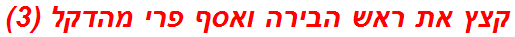 קצץ את ראש הבירה ואסף פרי מהדקל (3)