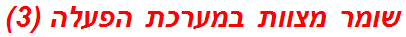 שומר מצוות במערכת הפעלה (3)