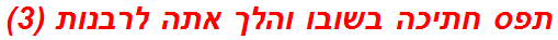 תפס חתיכה בשובו והלך אתה לרבנות (3)