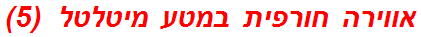 אווירה חורפית במטע מיטלטל  (5)