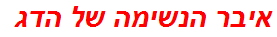 איבר הנשימה של הדג