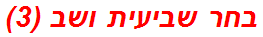 בחר שביעית ושב (3)
