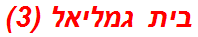 בית גמליאל (3)