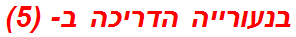בנעורייה הדריכה ב- (5)