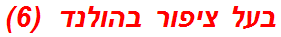 בעל ציפור בהולנד  (6)