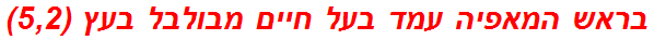 בראש המאפיה עמד בעל חיים מבולבל בעץ (5,2)