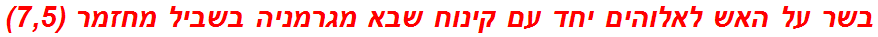בשר על האש לאלוהים יחד עם קינוח שבא מגרמניה בשביל מחזמר (7,5)