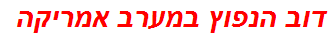 דוב הנפוץ במערב אמריקה