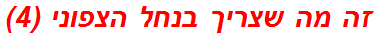 זה מה שצריך בנחל הצפוני (4)
