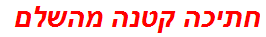 חתיכה קטנה מהשלם