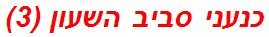 כנעני סביב השעון (3)