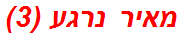 מאיר נרגע (3)
