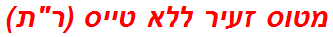מטוס זעיר ללא טייס (רת)