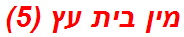 מין בית עץ (5)