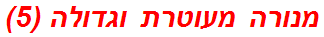 מנורה מעוטרת וגדולה (5)